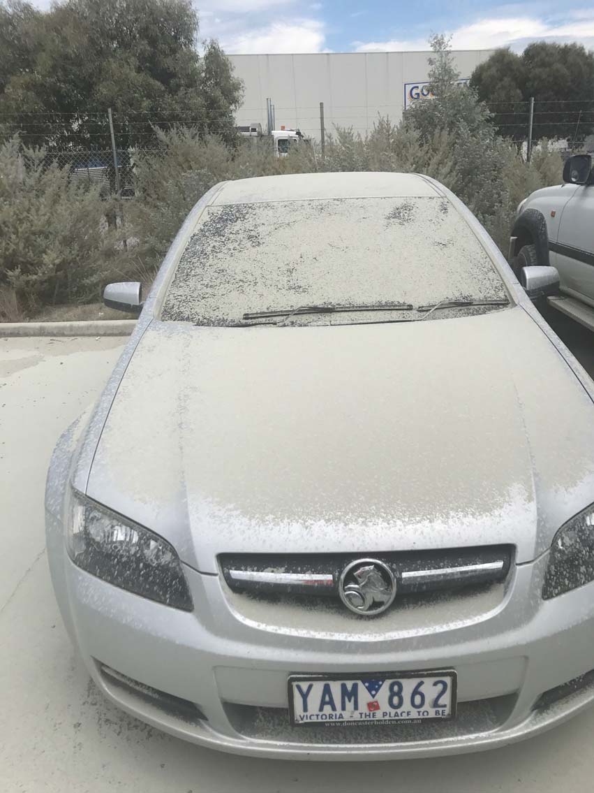 CSA Emergency Response to Hallam Cement Spill